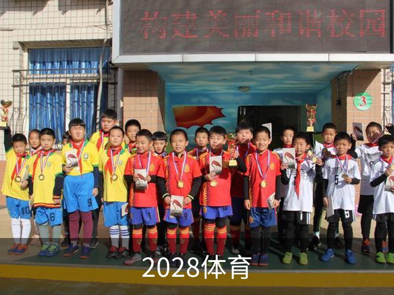 关于2028体育