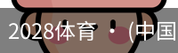 2028体育